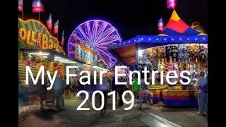 Fair Entries 2019