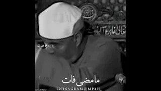 الدنيا كلها اية؟شيخ شعراوي