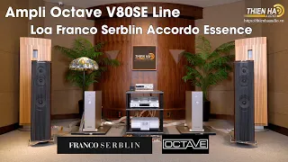 Loa Franco Serblin Accordo Essence Phối Ghép  Ampli Octave V80SE Line - Đẳng Cấp - Cảm Xúc Thăng hoa
