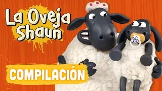 Compilación Temporada 4 (episodios 16-20) - La Oveja Shaun