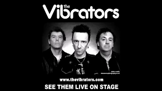 The Vibrators Live @ The White Hart