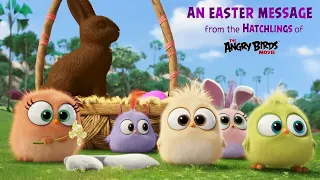 Angry Birds: Happy Easter from the Hatchlings 2016 Animated Short Film