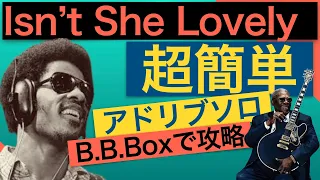 Isn't She Lovelyで超簡単にソロを弾けるようになる方法【B.B. King Blues Style】