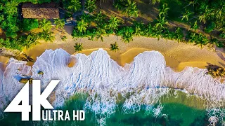 4K Tropical Beach - Gentle Ocean Wave Sounds - Peaceful Wild Island - Relaxing Nature Video