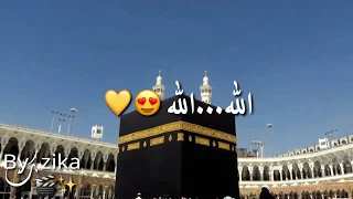 يا رب العالمين🙏 الله الله 💘 / أجمل حالة واتس اب دينية 🌸🍃. .....