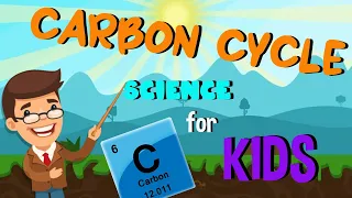 What is Carbon and The Carbon Cycle Process | Science for Kids