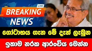 Breaking News! Here is special news.Gotabaya Rajapaksha news special