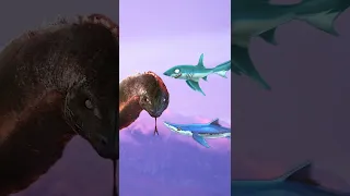 Bloop And Falak Vs Hungry Shark Evolution/World #Shorts #Bloop