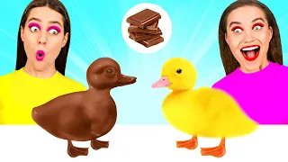 Reto de Chocolate Comida Rica vs Pobre #4 | Guerra de chicas con chocolate de DaRaDa Challenge