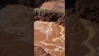 farm life: Dam failure. ok so it might of been encouraged to fill a large dam, but love the erosion.