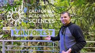 San Francisco's California Academy of Sciences/FULL WALK THRU (4K)