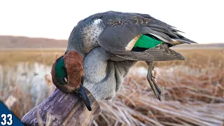 SOLO Kayak Hunt in a HIDDEN Pool | 28 Gauge Duck Hunting