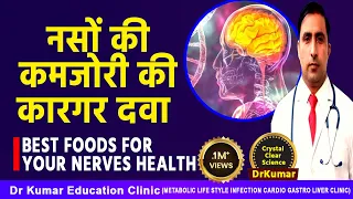 BEST FOODS FOR YOUR NERVES || Dr Kumar Education Clinic