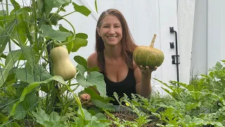 My Surprising Results: Why Squash Should Be Your Next Garden Addition