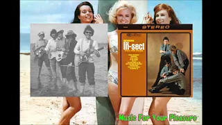 The In-Sect - Help Me Rhonda The Flies UK Surf Beach Boys