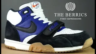 See How The Polar X Nike SB Air Trainer 1's Skate | First Impressions