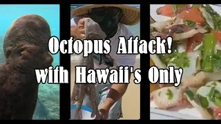 Tako Diving - Octopus Recipe - Tako Poke - Hawaiian Tako Poke Recipe EP 5