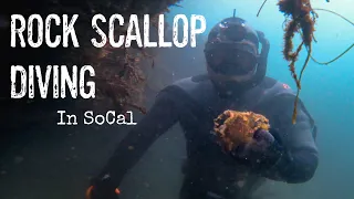 SoCal Shellfish and Scallop Diving with Chimyshark