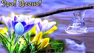 Весна пришла! Всех с Весной! Самое Нежное Поздравление С Началом Весны!