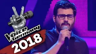 Tracy Chapman - Fast Car (Cem Kücük) | The Voice of Germany | Blind Audition