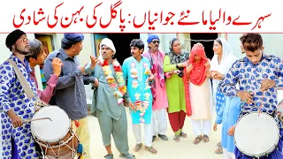 Sehre walia//Bhotna,Shoki, Bilo ch koki Cheena & Sanam Mahi New Funny Video By Rachnavi Tv2