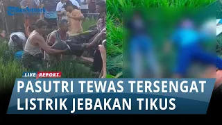 Suami Istri Tewas Tersengat Listrik Jebakan Tikus Sawah di Laren, Lamongan