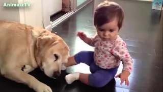 Dogs And Babies Are Best Friends Talking Playing Together Compilation (Part 2)