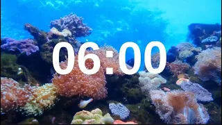 6 Minute Timer Relaxing Music Lofi Fish Background