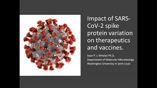 3-11-21 - Impact of SARS-CoV-2 spike protein variation on therapeutics and vaccines