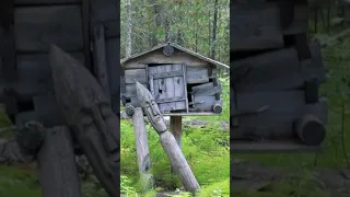 Pagan idols in taiga! In the middle of nowhere. Siberia. Russia. Very soon on this channel! #shorts