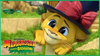 Alex Faz Mágica 🪄 | DreamWorks Madagascar em Português