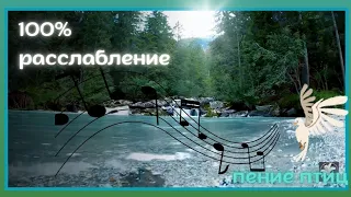 Звуки природы -пение птиц. 🌲Для релаксации, медитации, сна. Фоновый звук. Relax .