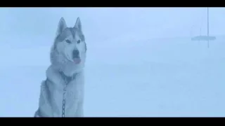 EIGHT BELOW-The evacuation