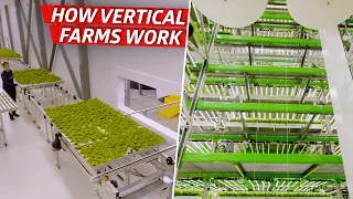 How an Indoor Farm Uses Technology to Grow 80,000 Pounds of Produce per Week  — Dan Does