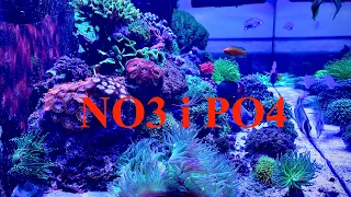 Jak prowadzić akwarium morskie cz 5 - NO3 i PO4.