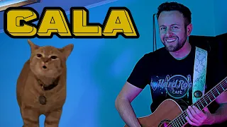 Spaul x Cala - The Reggae queen ( singing cat THE KIFFNESS I GO MEOW style )