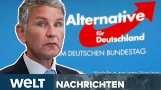 BJÖRN HÖCKE: Kontroverser AfD-Politiker wegen Nazi-Parole zu Geldstrafe verurteilt! | WELT STREAM