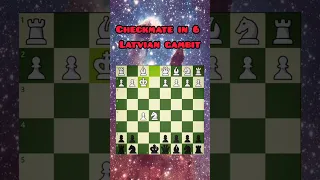 mate in 6 (Latvian Gambit)