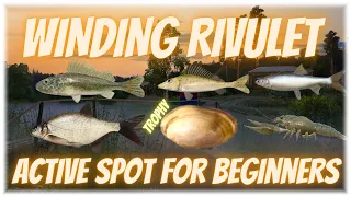 Russian Fishing 4 Winding Rivulet Active Spots For Beginners