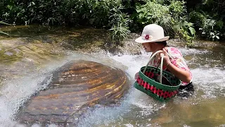 😱The treasure in the river, the girl opens the big clam and discovers rare jewelry