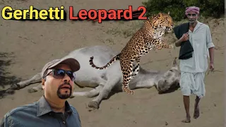 Gerhetti Leopard 2 । Shikar Story । Man Eater Leopard Story । Wildlife Story Narration । Anderson