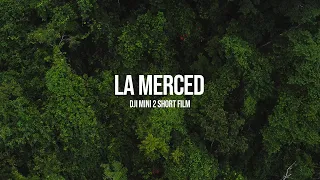 La Merced, Chanchamayo - Short Film | DJI MINI2 | @elartedenada