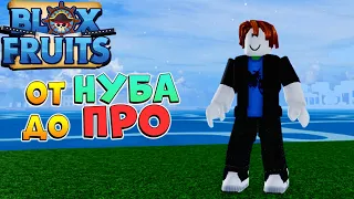 БЛОКС ФРУТС ВСЕ ЗАНОВО с НУЛЯ от НУБА до ПРО 😱 Blox Fruits 17.3 - Роблокс Ван Пис🍈 1 серия