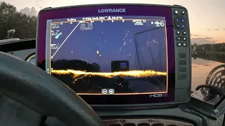 Сравниваю Паноптикс от Lowrance, Актив таргет 2 против Live Sight на рыбалке с квоком . Поможет?