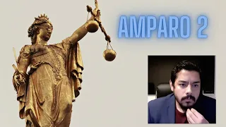 Amparo 2 : RECURSOS PRINCIPIOS TRAMITACIÓN