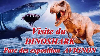 visite du DinoShark Avignon 2021