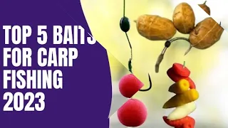 Top 5 Best baits for carp fishing 2023 in winter for big Carp