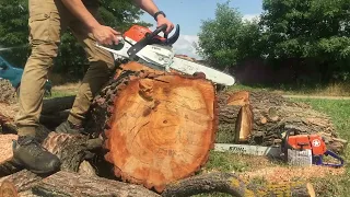 Stihl ms 261 the perfect weapon ‼️🎥🔴
