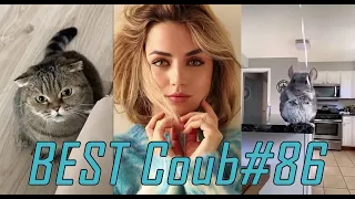 BEST Coub #86 | Funny Videos | BEST Cube | Приколы🤣