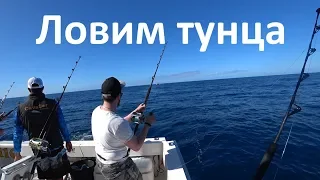 Ловля тунца на Канарских островах